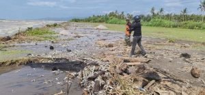 Viral: Ribuan Ikan Mati di Pantai Tegal Papak, BPBD Pandeglang Berikan Penjelasan Lengkap