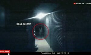 Fenomena "Karen": Ketika Video Viral Mengubah Persepsi Publik dan Membongkar Ketidakadilan