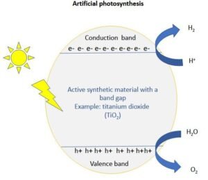 Fotosintesis Buatan: Memanen Energi Matahari untuk Masa Depan Berkelanjutan