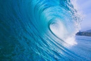 Mengenal Wave Energy Converters: Mengubah Ombak Laut Menjadi Sumber Energi Masa Depan