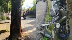 "Simfoni Klakson di Simpang Lima: Ketika Kucing Oren Menjadi Maestro Lalu Lintas yang Viral"