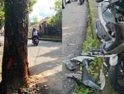 "Simfoni Klakson di Simpang Lima: Ketika Kucing Oren Menjadi Maestro Lalu Lintas yang Viral"