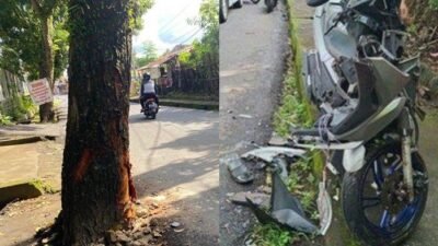"Simfoni Klakson di Simpang Lima: Ketika Kucing Oren Menjadi Maestro Lalu Lintas yang Viral"