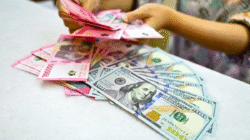 Pekan Terakhir November Dividen Cair Besar