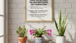 Tips Memilih Jenis Kaktus yang Mudah Dirawat bagi Pemula yang Ingin Mempercantik Sudut Ruangan Rumah