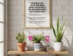 Tips Memilih Jenis Kaktus yang Mudah Dirawat bagi Pemula yang Ingin Mempercantik Sudut Ruangan Rumah